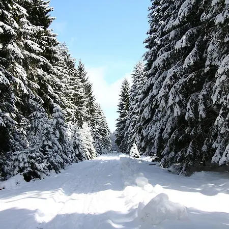 Zum Alten Rathaus Penzion 4*