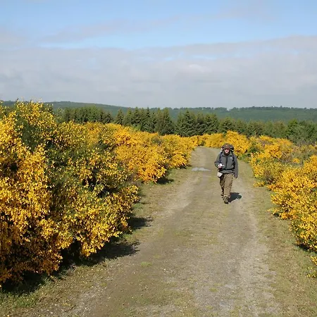 Zum Alten Rathaus 4*