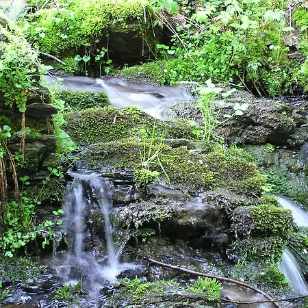 Zum Alten Rathaus 4*