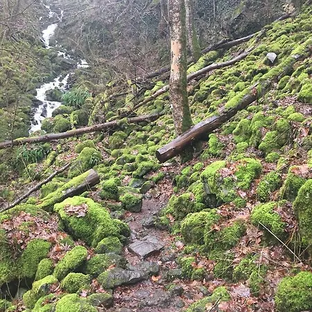 Pensionat Zum Alten Rathaus 4*