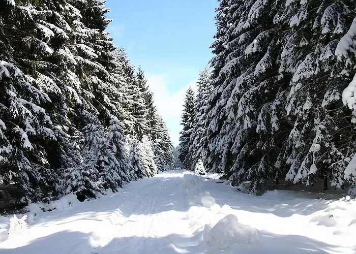 Zum Alten Rathaus 게스트하우스 4*