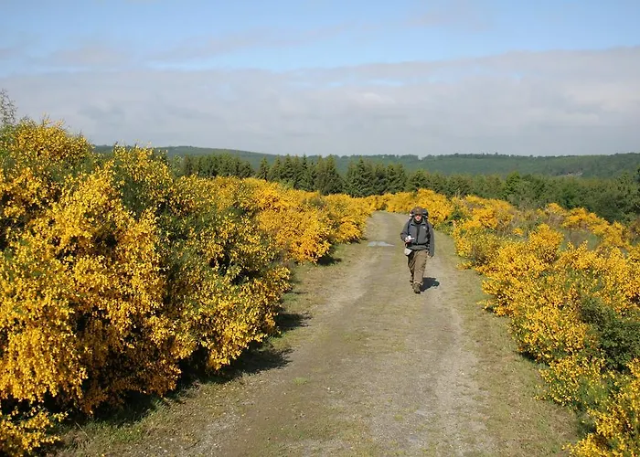 Zum Alten Rathaus 4*