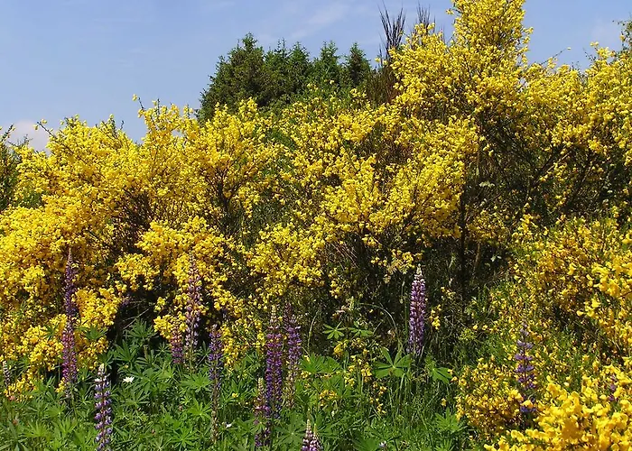 Zum Alten Rathaus 4*