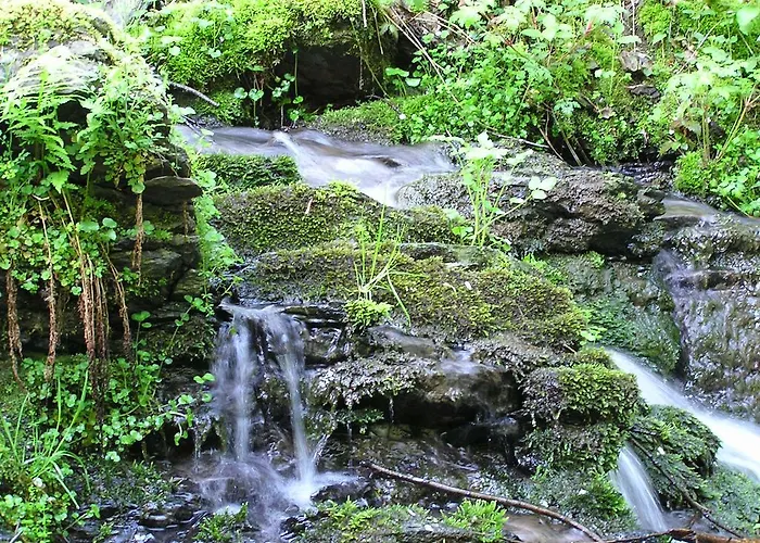 Zum Alten Rathaus 4*