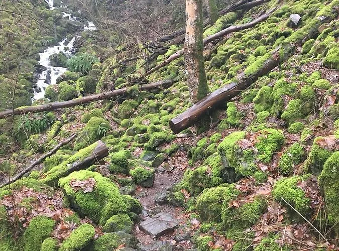 Affittacamere Zum Alten Rathaus 4*